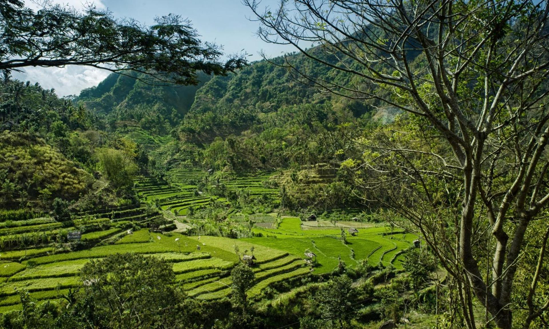 Retreat Villa Toraja Baturinggit Kubu Εξωτερικό φωτογραφία